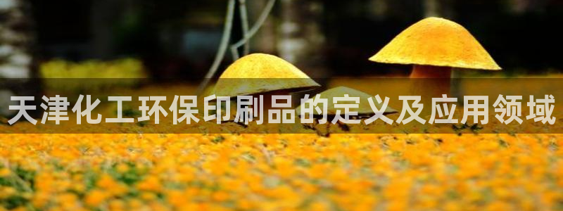 亿万先生手机版客户端下载安装：天津化工环保印刷品的定义及应用领域