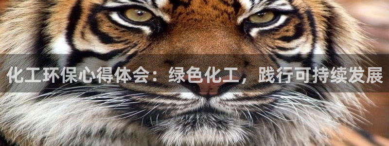 亿万网红：化工环保心得体会：绿色化工，践行可持续发展