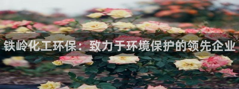 亿万先生手机客户端：铁岭化工环保：致力于环境保护的领先企业