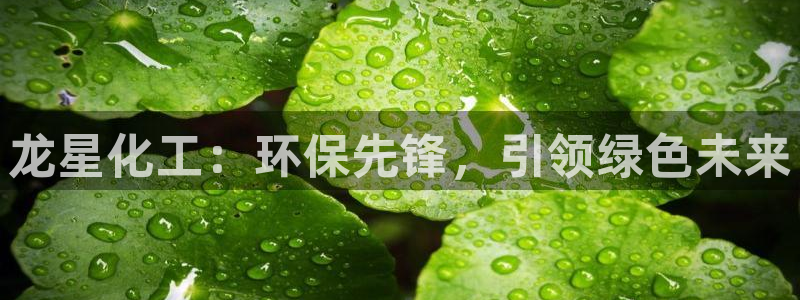 mr07亿万先生：龙星化工：环保先锋，引领绿色未来
