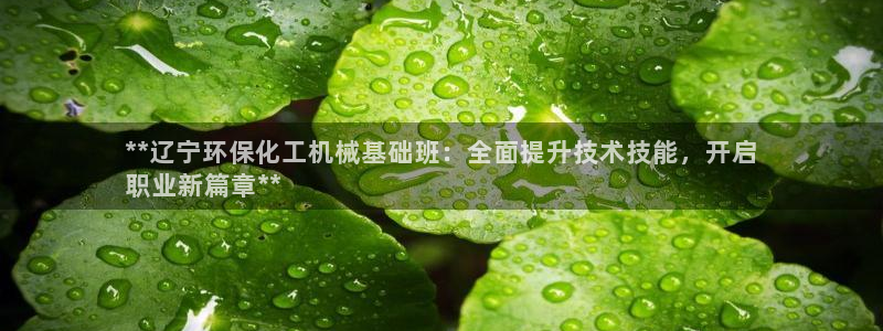 亿万先生客服：**辽宁环保化工机械基础班：全面提升技术技能，开启
职业新篇章**