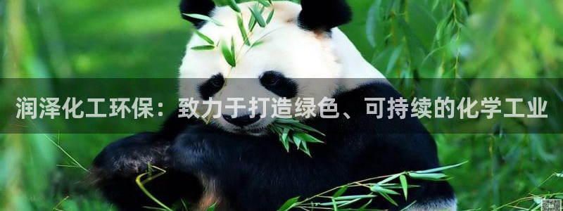亿万的亿：润泽化工环保：致力于打造绿色、可持续的化学工业
