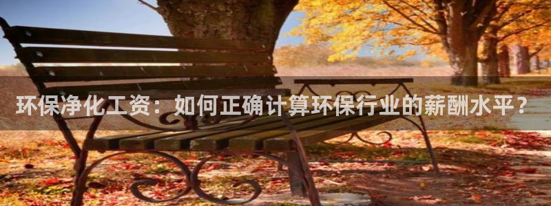 亿万先生 手机版下载安装：环保净化工资：如何正确计算环保行业的薪酬水平？
