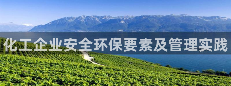 亿万首富手游：化工企业安全环保要素及管理实践