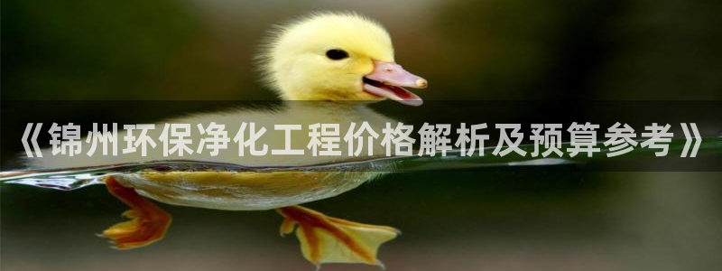 亿万先生网址生：《锦州环保净化工程价格解析及预算参考》