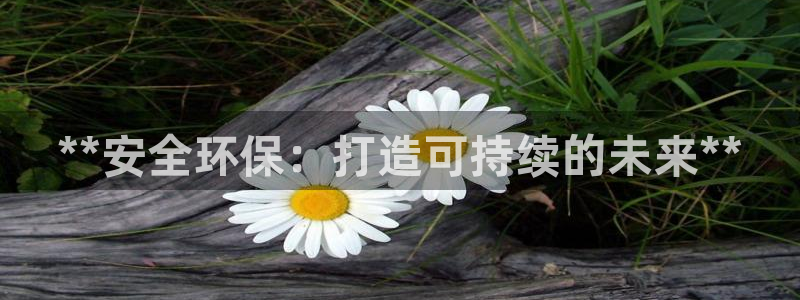 亿万官网手机登录：**安全环保：打造可持续的未来**