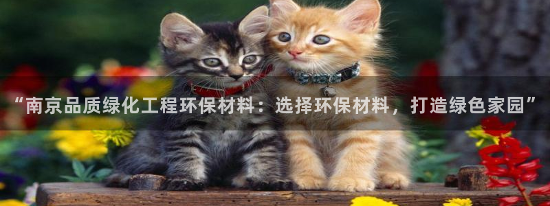 亿万同人字幕分享jogoduplo：“南京品质绿化工程环保材料：选择环保材料，打造绿色家园”