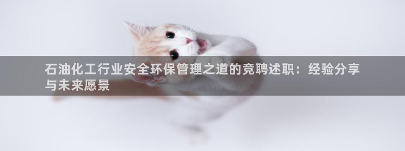 亿万先生mr008cc官网：石油化工行业安全环保管理之道的竞聘述职：经验分享
与未来愿景