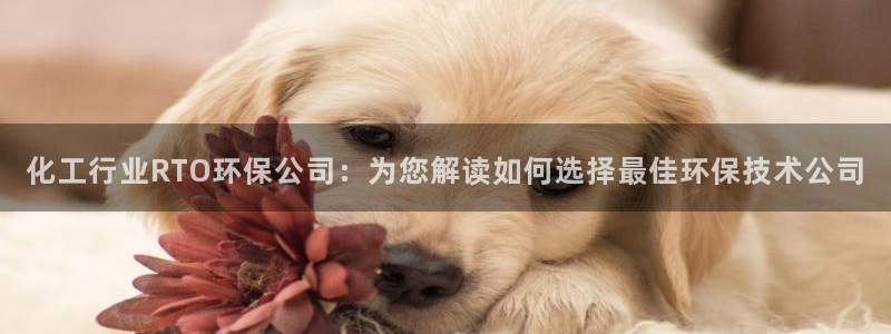 亿万先生mr网址：化工行业RTO环保公司：为您解读如何选择最佳环保技术公司