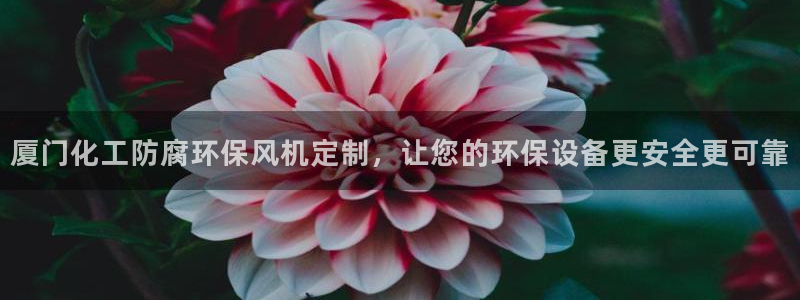 亿万讲了什么：厦门化工防腐环保风机定制，让您的环保设备更安全更可靠