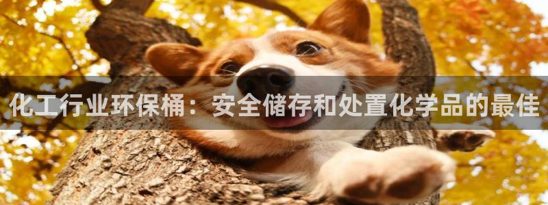 亿万先生网红：化工行业环保桶：安全储存和处置化学品的最佳