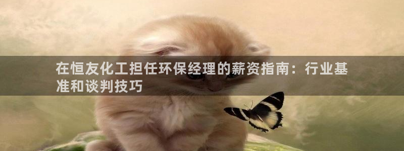亿万同人字幕组的个人主页：在恒友化工担任环保经理的薪资指南：行业基
准和谈判技巧