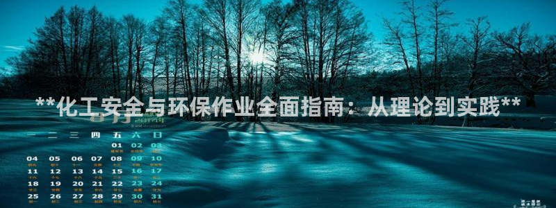 亿万先生合并：**化工安全与环保作业全面指南：从理论到实践**