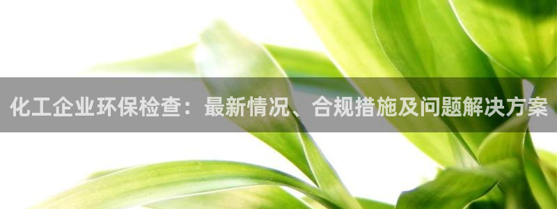 亿万同人字幕组微博的微博：化工企业环保检查：最新情况、合规措施及问题解决方案