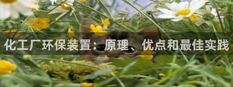 亿万先生手机版入：化工厂环保装置：原理、优点和最佳实践
