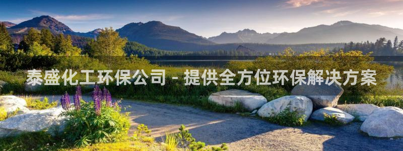亿万先生：泰盛化工环保公司 - 提供全方位环保解决方案