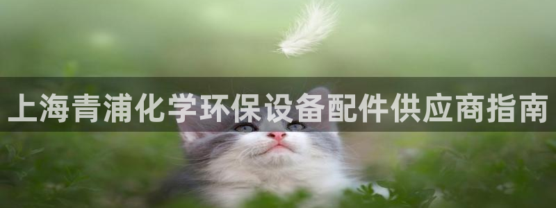 亿万先生下载网址app：上海青浦化学环保设备配件供应商指南