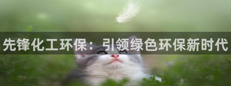 亿万手游官网：先锋化工环保：引领绿色环保新时代