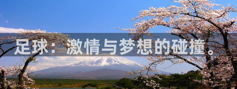 必一运动体育官网入口