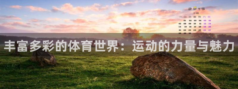bsports必一运动