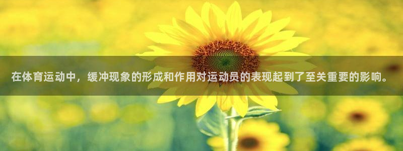 bsports官网 必一运动