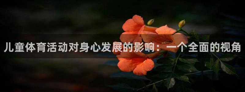 必一运动bsport体育